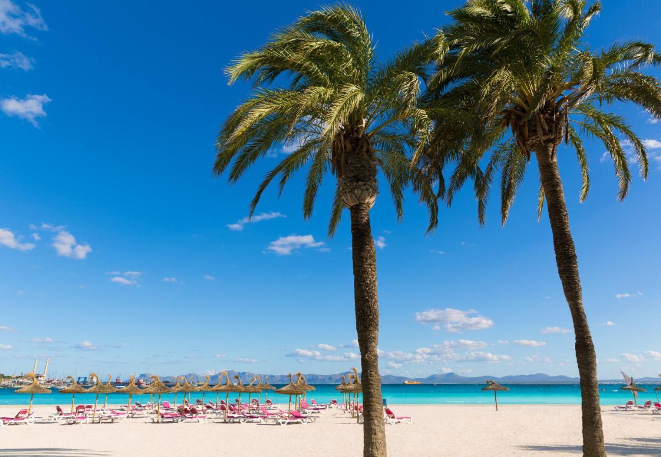 Ideal Mallorca - Bahia Blanca